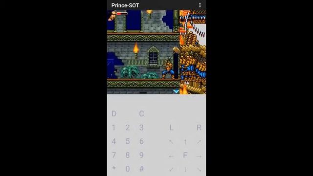 PRINCE OF PERSIA-java смотреть онлайн