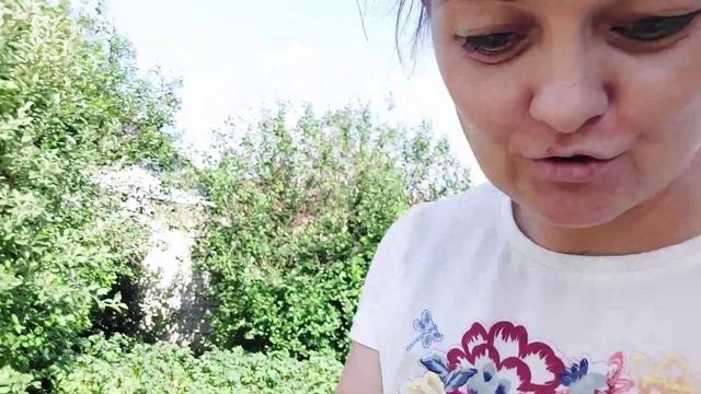 Выходной день. Чем заняться в городе? Поехали в гости. смотреть онлайн