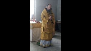 Неделя о Самаряныне. Архиепископ Стефан (Бабаев). 2020