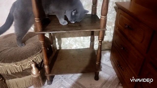 Предметы из прошлого.Комод.Этажерка.(3) смотреть онлайн