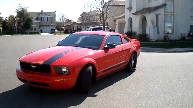 The Mustang Predator Ap смотреть онлайн