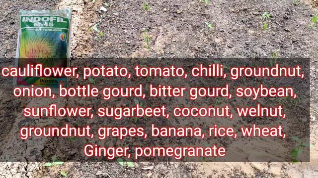 सही डोज ऐसे 👆तैयार करें | Indofil m45 Hindi | Mancozeb 75% WP uses | contact fungicide | mancozeb 7 смотреть онлайн
