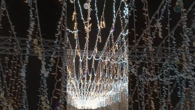 Вечерняя зимняя семейная прогулка!