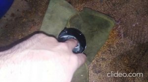 Чистка сетки VVT-i на 1 NZ-FE. Станет ли лучше?...