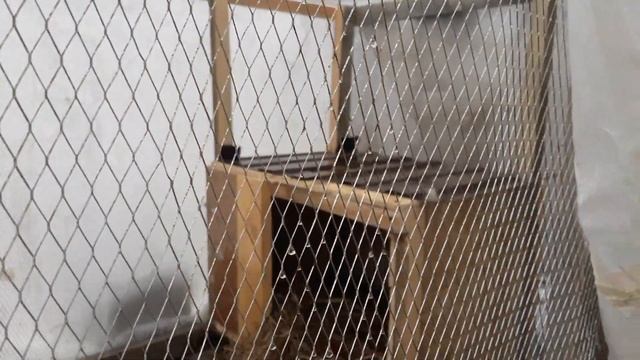 У меня появилась Света. смотреть онлайн