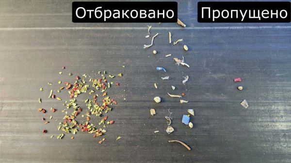 Тестовая сортировка сушеных овощей