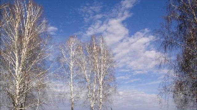 37. Научитесь от Меня, ибо Я кроток и смирен сердцем смотреть онлайн