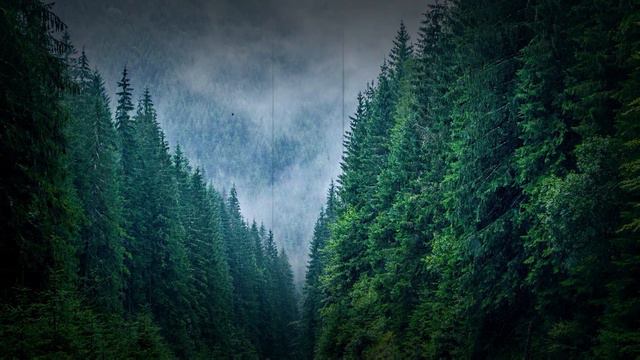 Истории из жизни 📕 Никогда не доверяй своей лучшей подруге: история Жанны и Юли… 📘 Жизненные истори смотреть онлайн