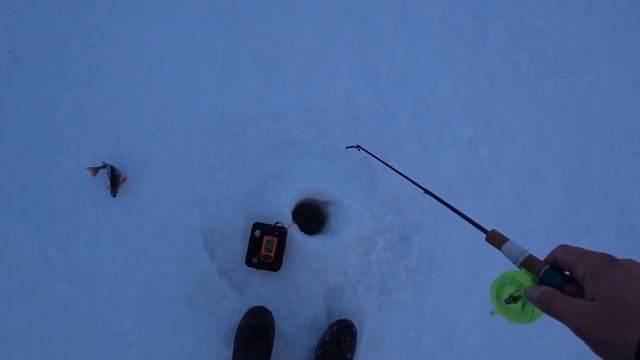 За окунем и судаком на Волге смотреть онлайн