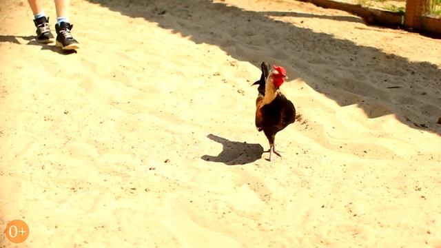 Отдых и выходные: День Земли смотреть онлайн