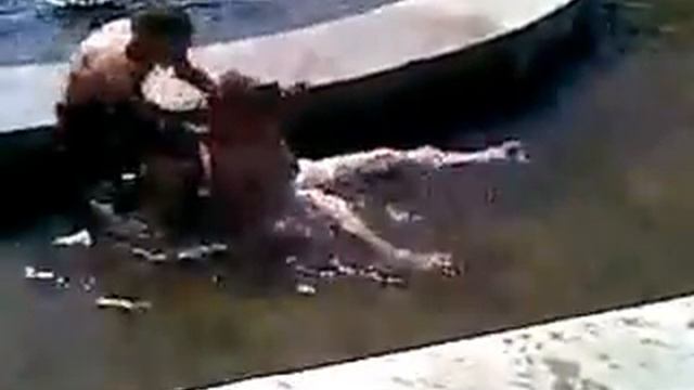 кеша мелитопольский )) смотреть онлайн