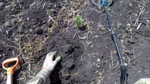 Летний коп монет с тёркой 705.