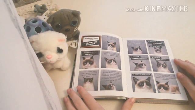 Обзор на книгу 《Правила жизни GRUMPY CAT самой сердитой кошки в мире 》. смотреть онлайн
