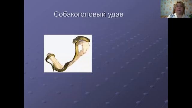 Коррекционно-развивающее занятие: "Экскурсия в Государственный Дарвиновский музей". смотреть онлайн