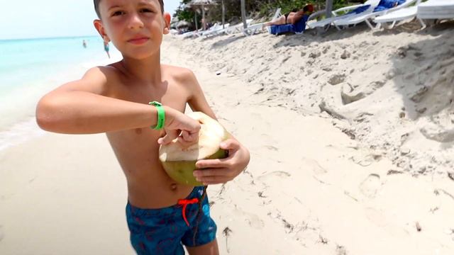 СРЫВАЮ КОКОСЫ С ПАЛЬМЫ В ОТЕЛЕ (что можно сделать из кокоса) смотреть онлайн