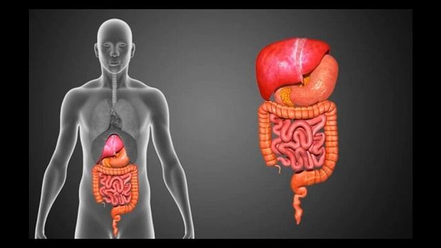 Важно! Синдром дырявой кишки — РЕАЛЬНОСТЬ! смотреть онлайн
