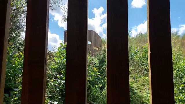 Зарисовки из жизни №114. Август. Бельгийская свадьба. Ежевика. Соковыжималка. смотреть онлайн