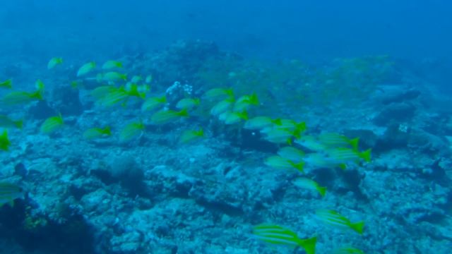 Backpacking through Bali, Gili Islands, Lombok and Java смотреть онлайн