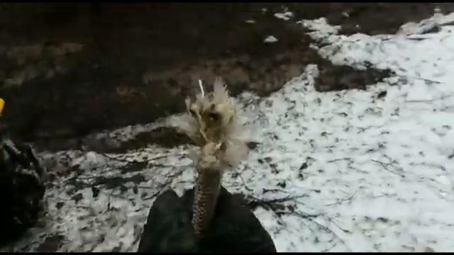 Отчет за 2019 год. смотреть онлайн