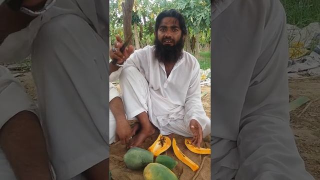 Papita 1 смотреть онлайн