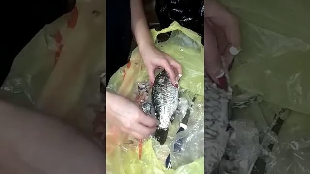Лайфхак чистки рыбы смотреть онлайн