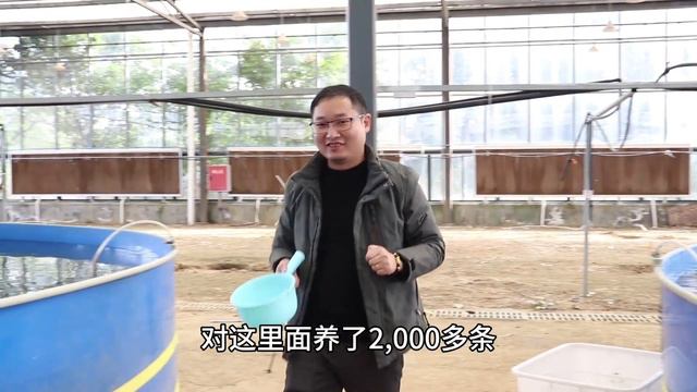 年入200多万的暴利养殖，利润达1000%，操作简单，需求又大 смотреть онлайн