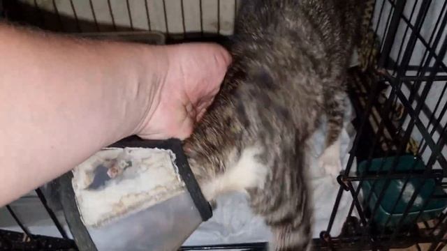 Новости про Маню смотреть онлайн