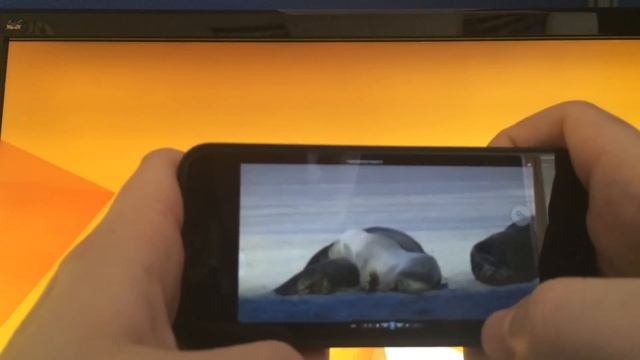 Работа VMware Horizon через IPhone 5