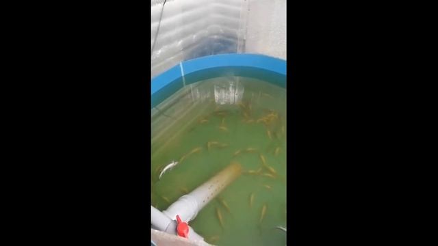 Катастрофа на 24 квадратных метрах. смотреть онлайн