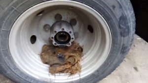 Замена волговского редуктора на ГАЗель бизнес