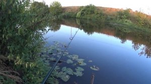 Мультипликаторная катушка ,рыбалка на реке Пахра ))) теория и практика )))