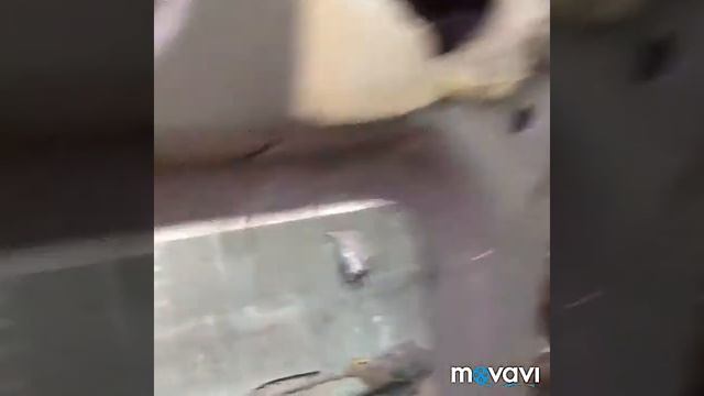 Кулинарное творчество для всех 