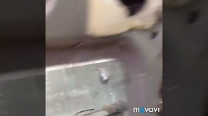 Шеви Нива перевертыш часть 1 ( замена крыши и правого заднего крыла )
