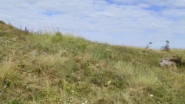 #1 Воскресенье день активного отдыха. 09/08/20/Молдова/Moldova/raionul Edinet/Единецкий район. смотреть онлайн