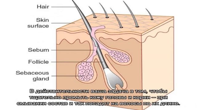 Распространенные ошибки в уходе за жирными волосами смотреть онлайн