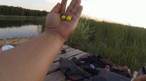 Ловим КАРПА в жару жарищуу!!!