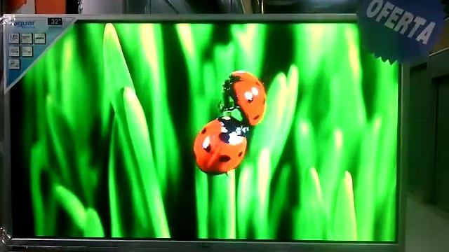 TV monitor Jaguar electrics 32" смотреть онлайн