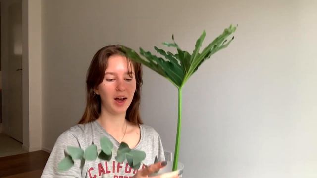 день из жизни в Аргентине: как я учу язык сама, завтрак на балконе, рум тур смотреть онлайн