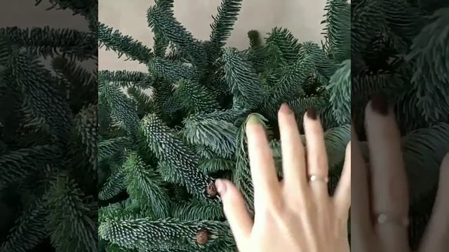 ✨ Подготовка к Новому году начинается ✨ #нобилис #красота #фудфлористика #вкусныебукеты #подарки смотреть онлайн