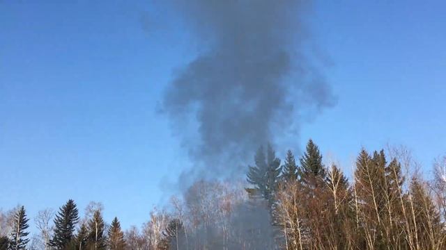 УССУРИ. СНЕГ.ХАРИУС. НОЯБРЬ 2020