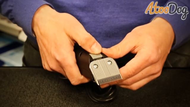 Tondeuse Moser max 45 pour chien - AtooDog смотреть онлайн