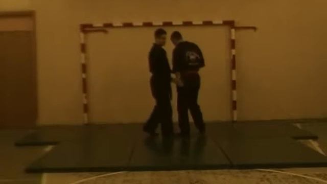 КЛУБ РУКОПАШНОГО БОЯ ВИТЯЗЬ 8 разряд ч22 приемы выверт руки за спину толчком смотреть онлайн