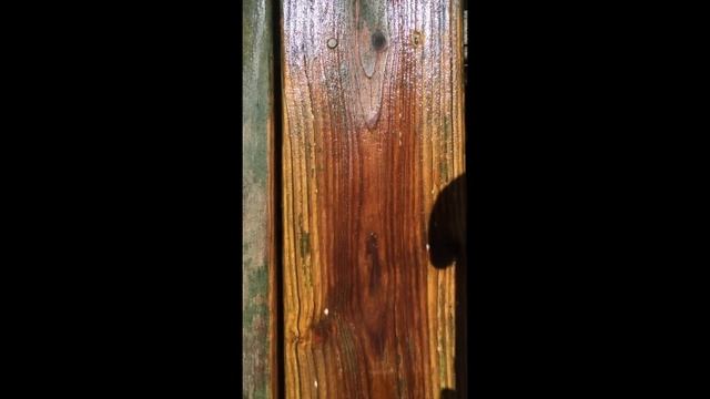 How To: Prepare Your Deck for Stain смотреть онлайн