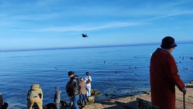 ФЕОДОСИЯ 2023. Обстановка сегодня. #феодосия, #феодосиясегодня, #жизньвкрыму смотреть онлайн