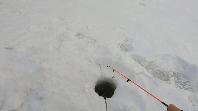 Авантюра, кумжа и сюрприз от Lynx 3900 / Adventure, big trout and Lynx 3900 surprize смотреть онлайн