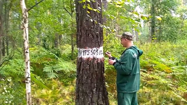 О профессии ЛЕСОПАТОЛОГ смотреть онлайн