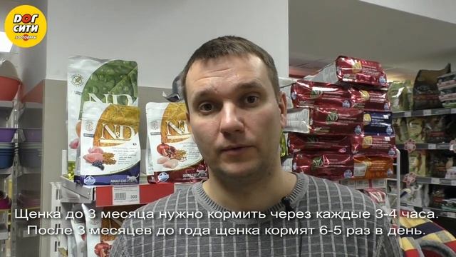 Сколько раз в день и сколько корма давать собаке смотреть онлайн