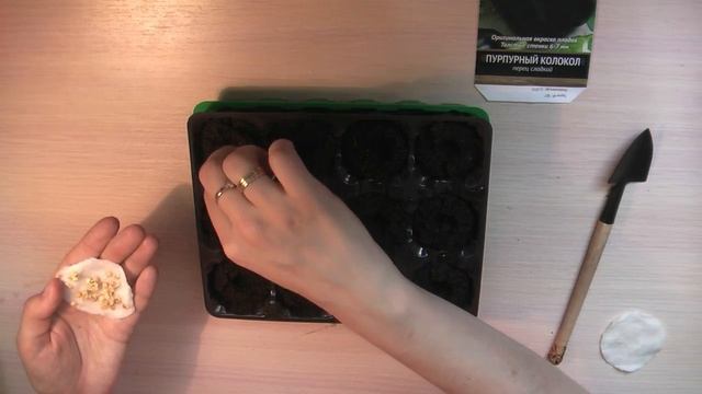 Посадка семян перца или баклажанов в торфяные таблетки (№3) смотреть онлайн