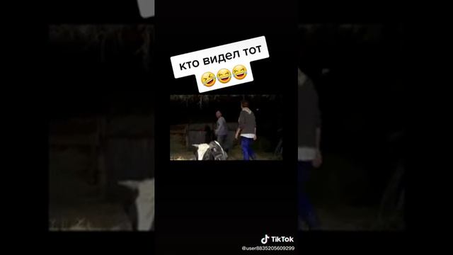 Корова бухая