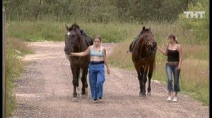 Дом-2. Жара, 51 выпуск